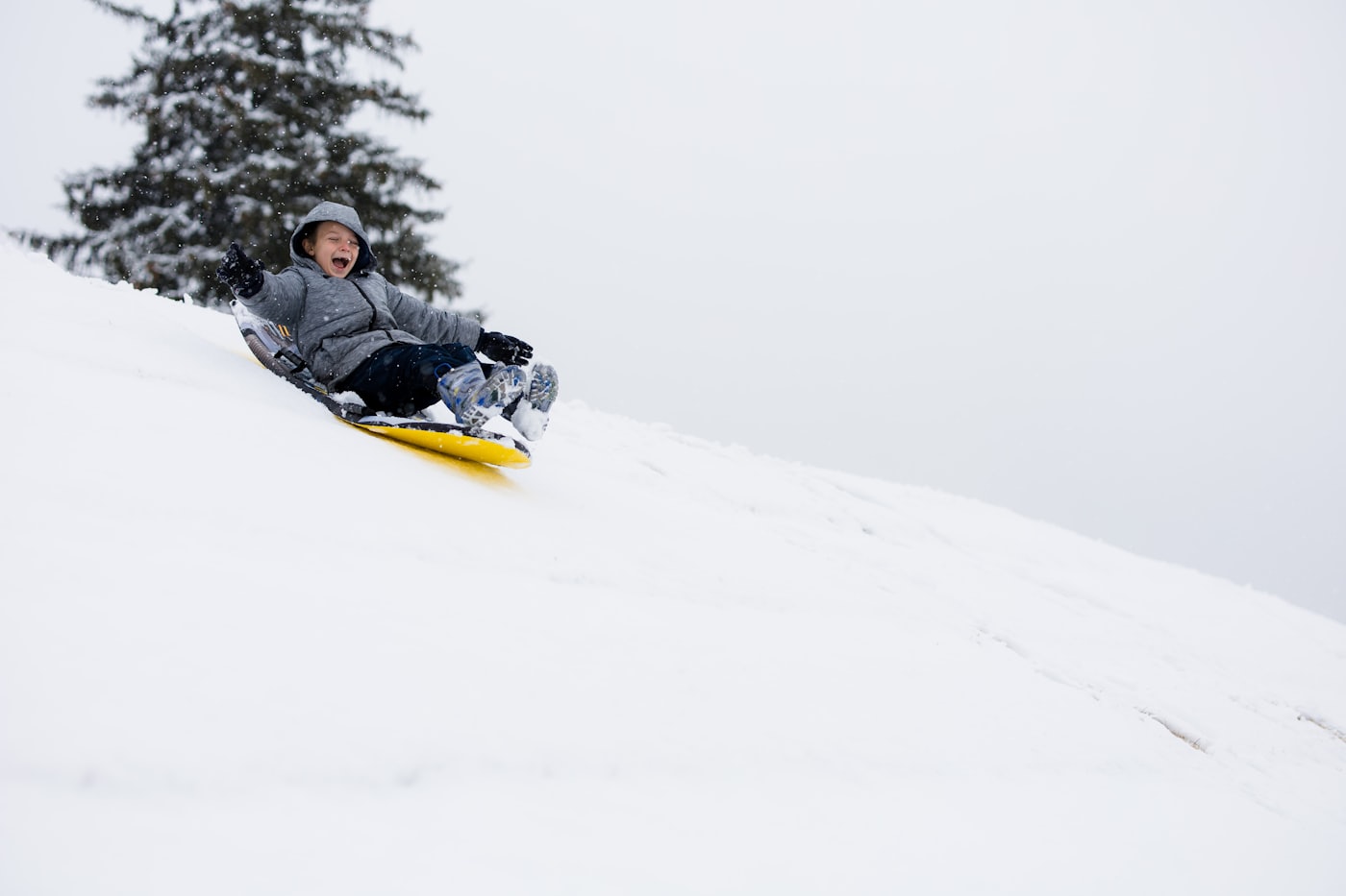 Enfant qui éclate de rire en dévalant une pente enneigée en luge, sapin en arrière-plan
